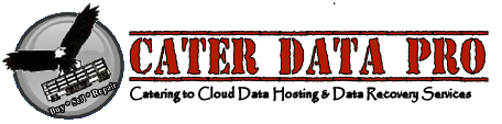 CATER DATA LLC CATER DATA LLC