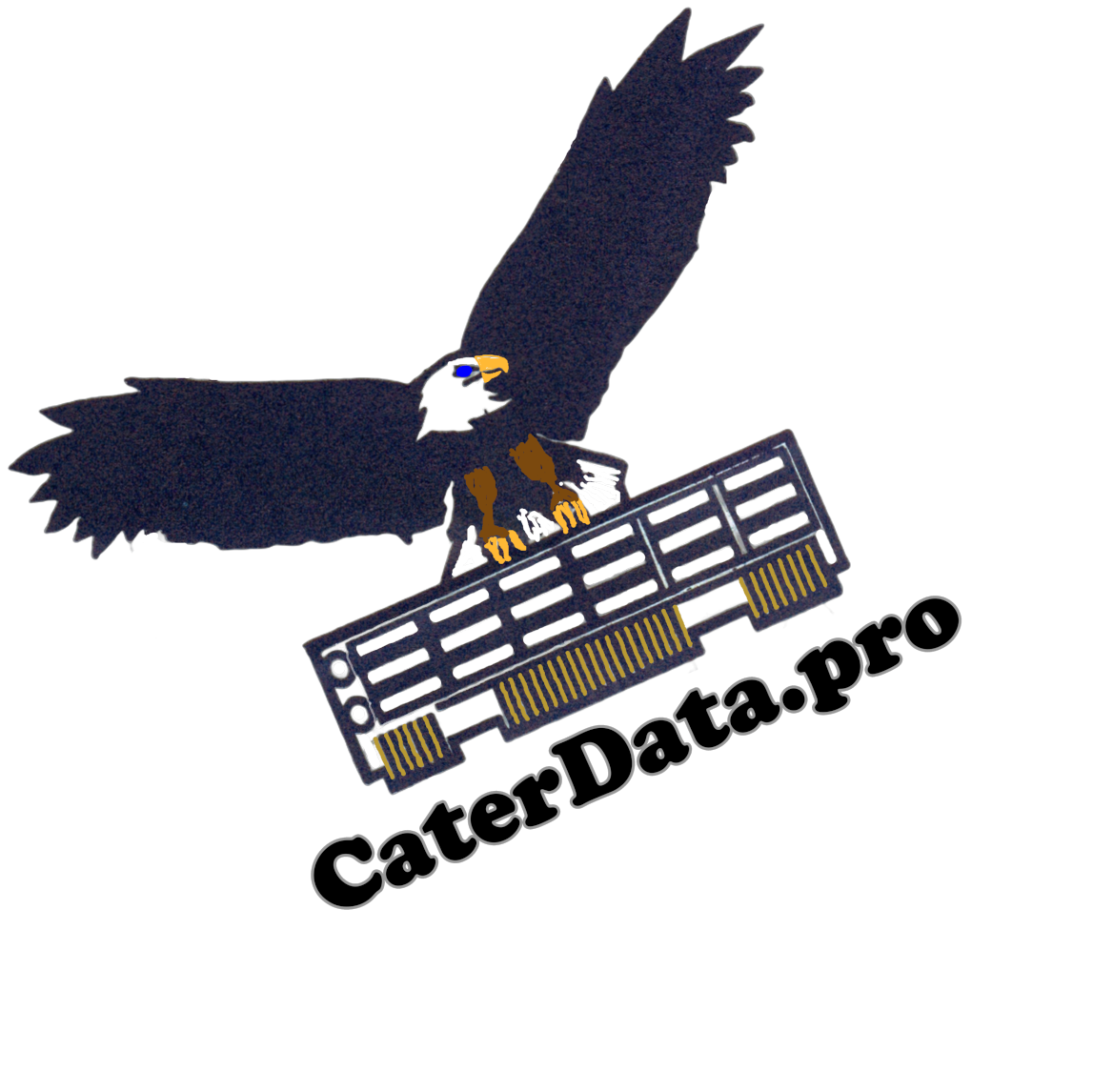 CATER DATA LLC